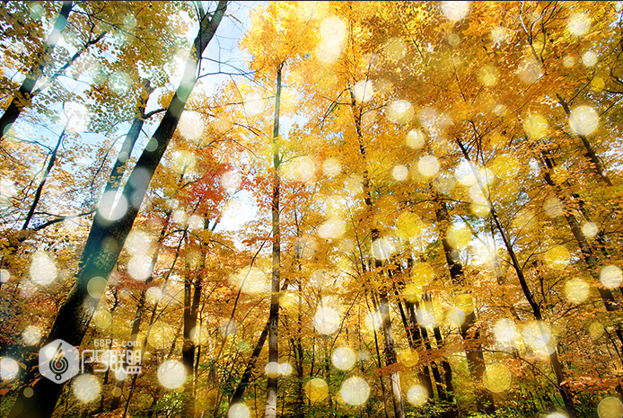 Photoshop制作早晨陽光四射動畫效果圖