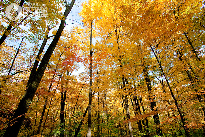Photoshop制作早晨陽光四射動畫效果圖
