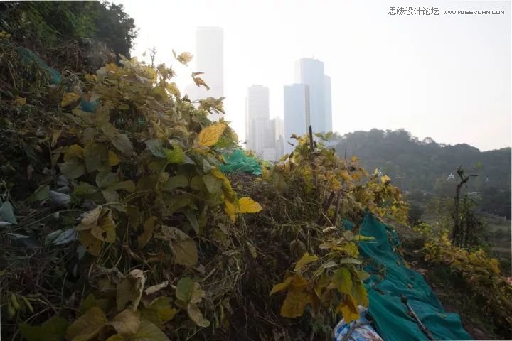 Photoshop詳細解析選區在后期調色中的應用