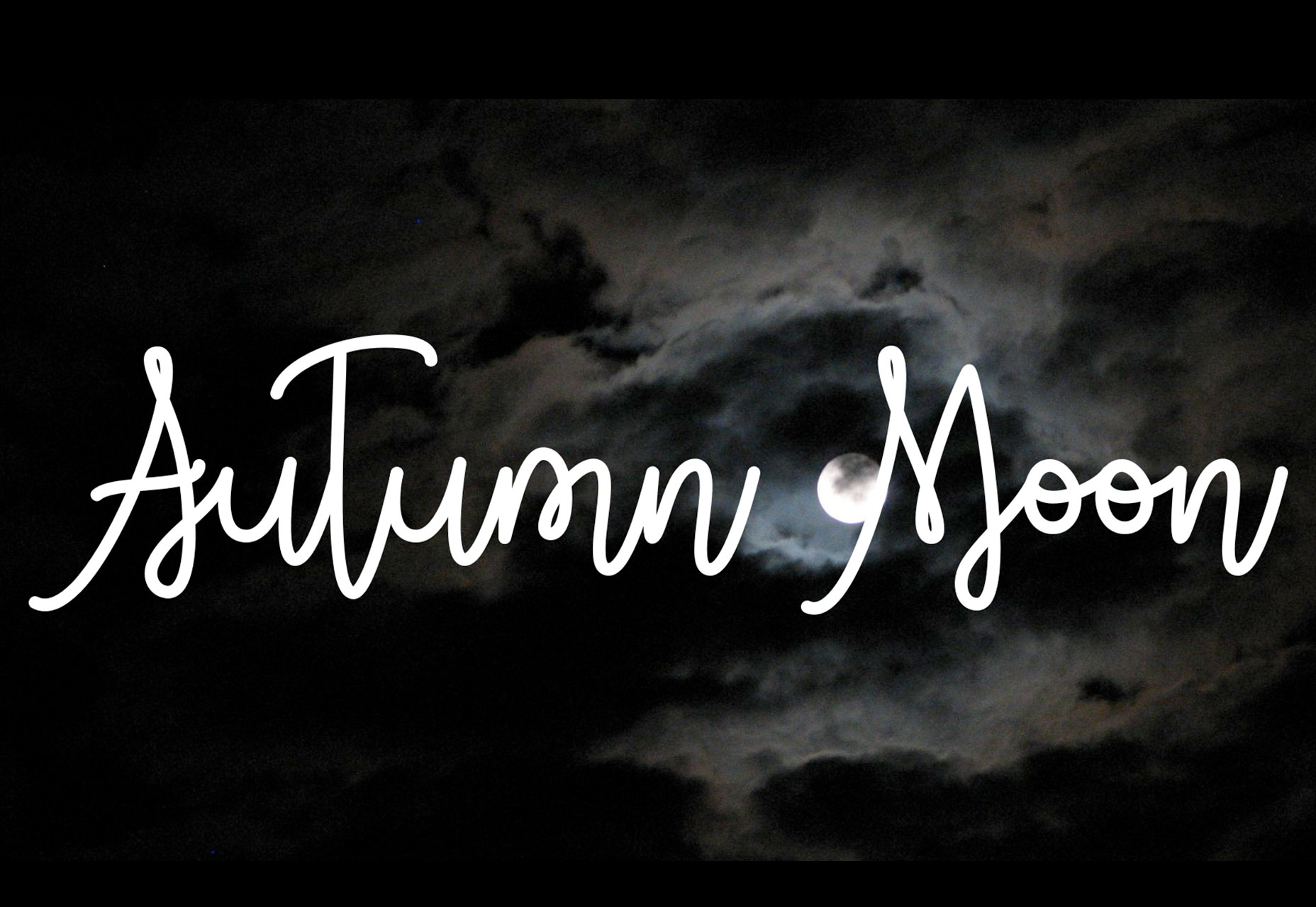 2017年11月國外設計圈優秀設計資源合集