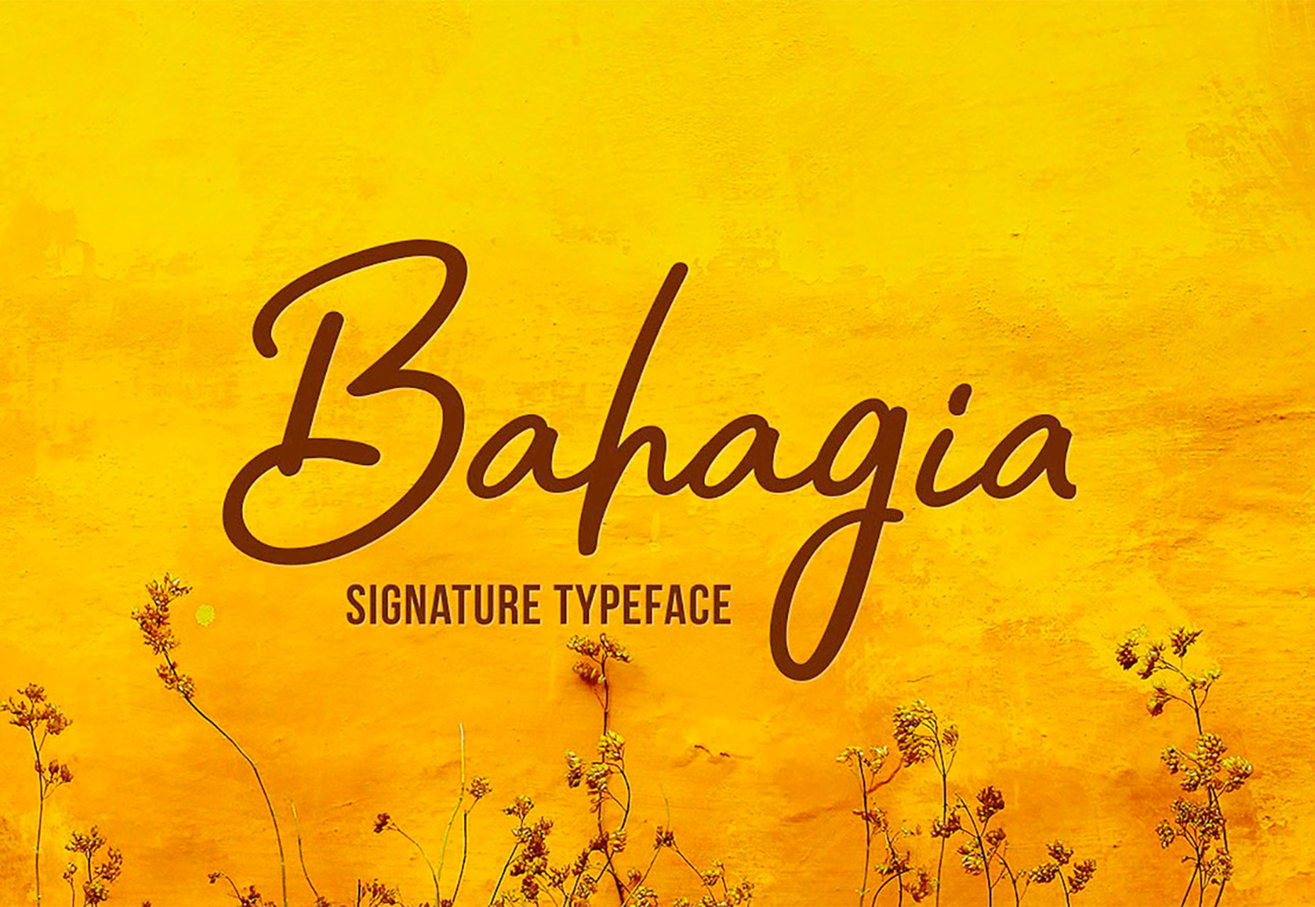 2017年11月國外設計圈優秀設計資源合集