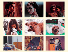 ����ɫ�͹�ˇ�gЧ��PSD�D��