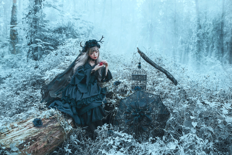 ��Gothic Lolita��Ψ���ɾ��L�zӰ�������p