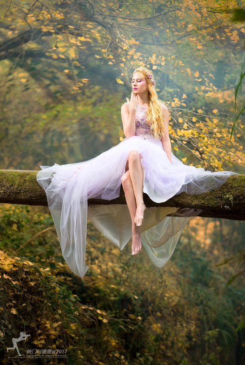 �������ͯԒ������ɭ��Ψ���zӰ��Ʒ