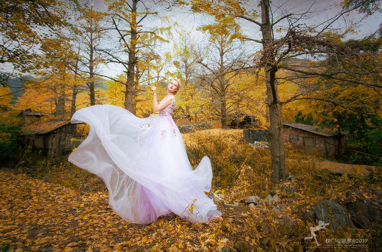 �������ͯԒ������ɭ��Ψ���zӰ��Ʒ