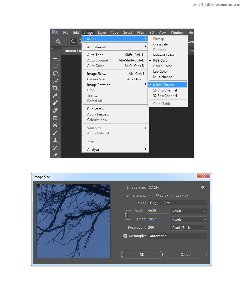 Photoshop制作星光裝飾的圣誕樹【英】