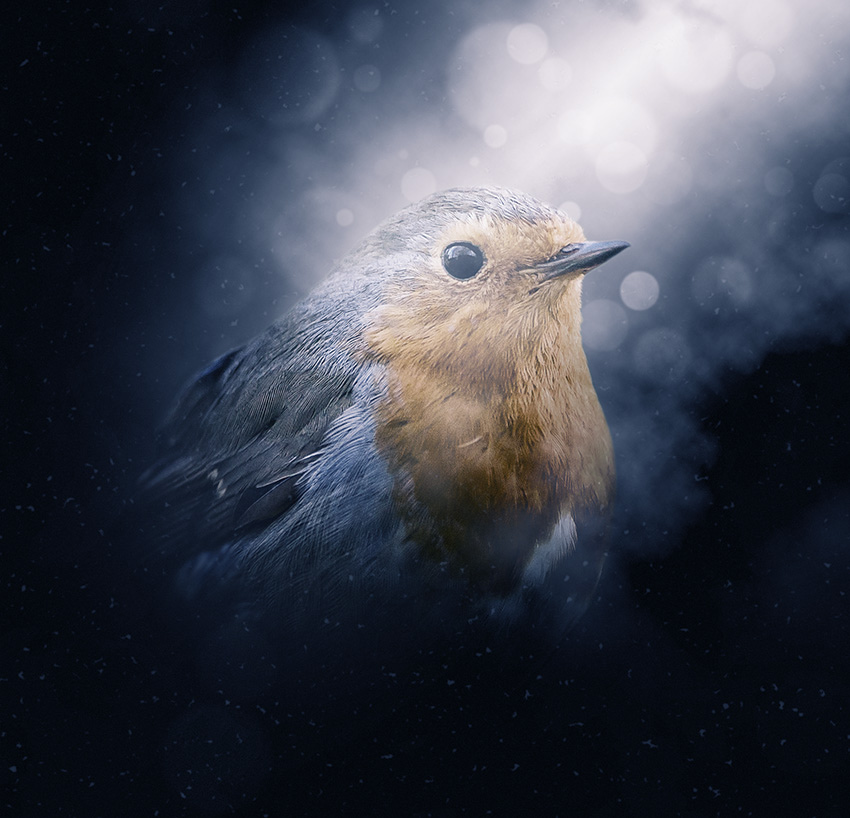 Photoshop制作夢幻耶穌光和高光背景【英】