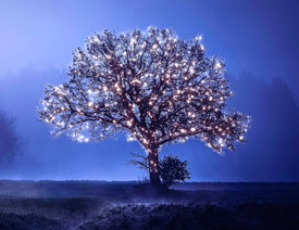 Photoshop�����ǹ��b�ʥ�Q�䡾Ӣ��