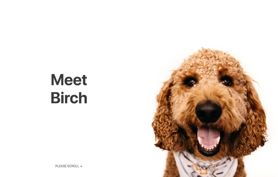 詳細解析10個2018年網頁設計趨勢