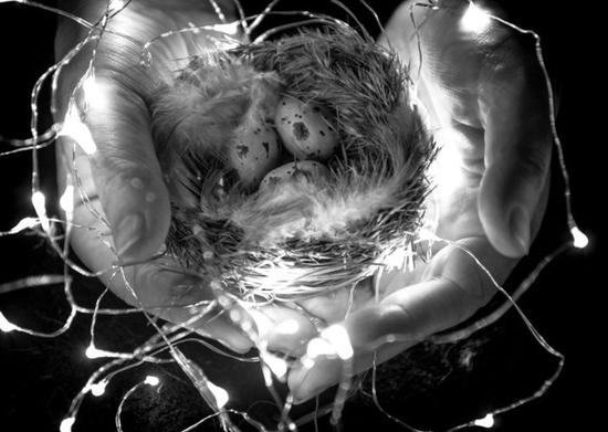 5�������o��zӰ���ĔzС����