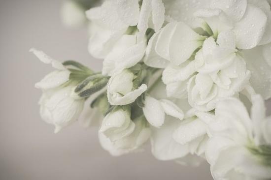 5�������o��zӰ���ĔzС����