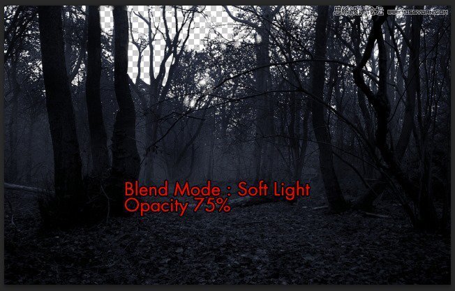 Photoshop合成被樹妖困住的女孩【英】