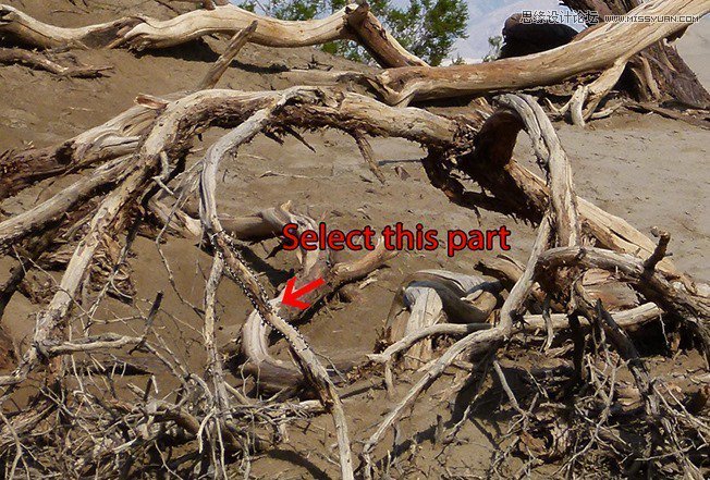 Photoshop合成被樹妖困住的女孩【英】