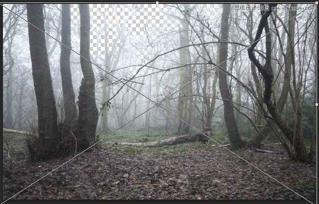 Photoshop合成被樹妖困住的女孩【英】