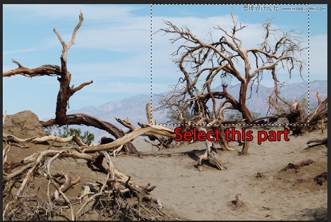 Photoshop合成被樹妖困住的女孩【英】