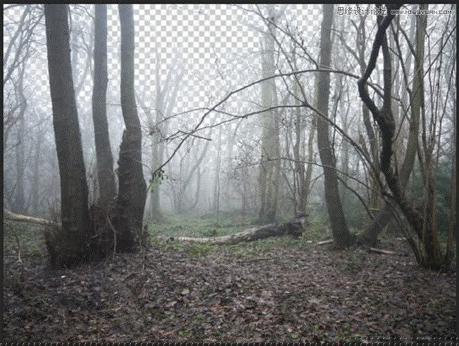 Photoshop合成被樹妖困住的女孩【英】