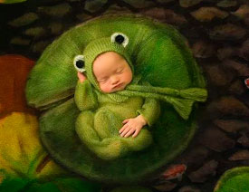 ��(chu��ng)������������ںϳ���Ʒ���p