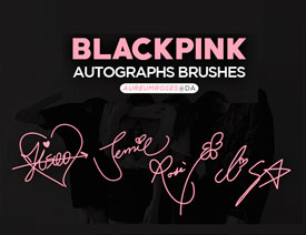 Ư�����֌�����PS�Pˢ