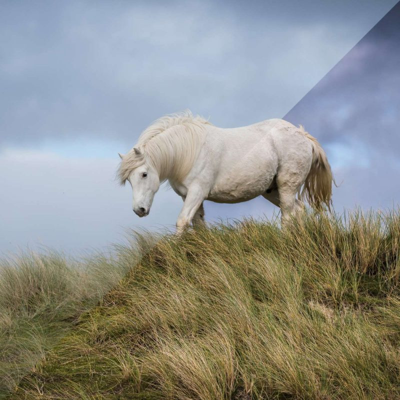 攝影師如何避免作品過度后期處理