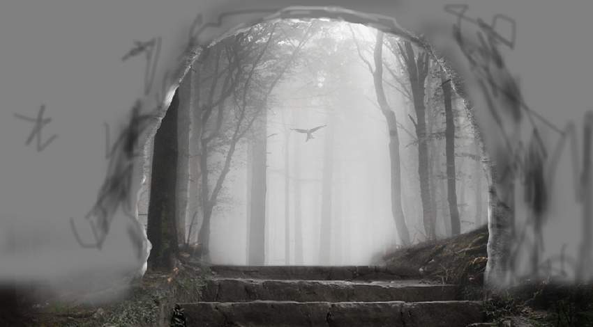 Photoshop合成夢幻風格的森林場景【英】