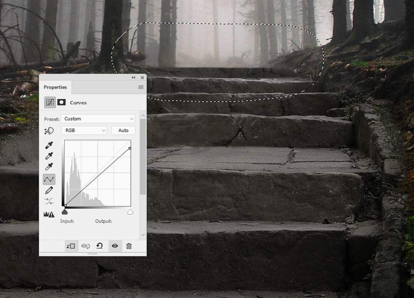 Photoshop合成夢幻風格的森林場景【英】