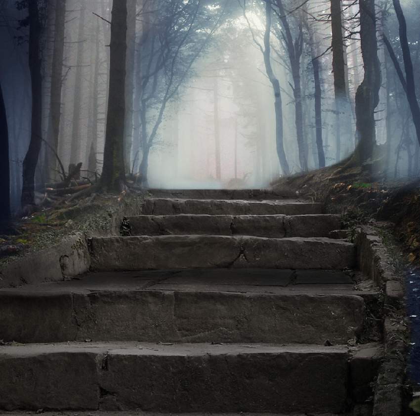 Photoshop合成夢幻風格的森林場景【英】