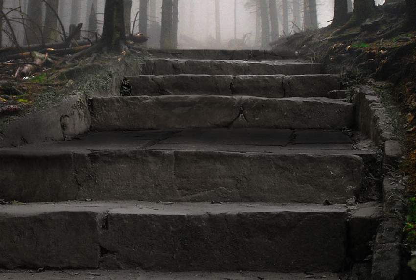 Photoshop合成夢幻風格的森林場景【英】