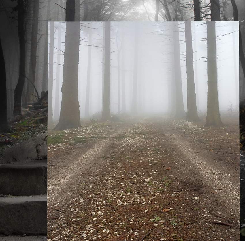 Photoshop合成夢幻風(fēng)格的森林場景【英】