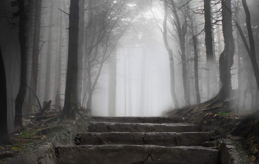 Photoshop合成夢幻風(fēng)格的森林場景【英】