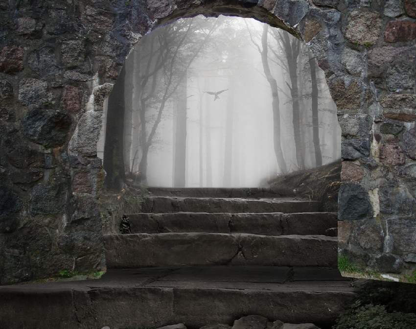 Photoshop合成夢幻風格的森林場景【英】