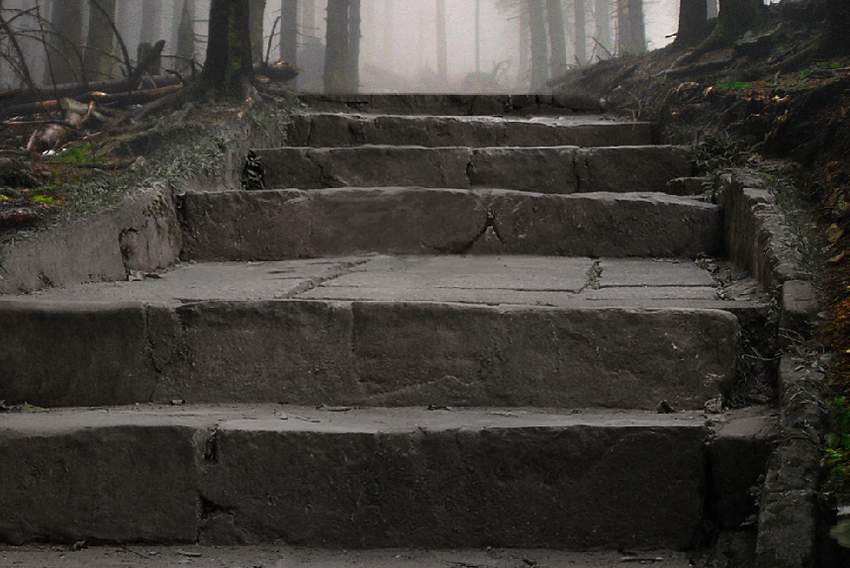 Photoshop合成夢幻風格的森林場景【英】