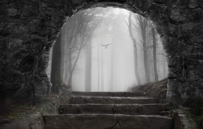 Photoshop合成夢幻風格的森林場景【英】