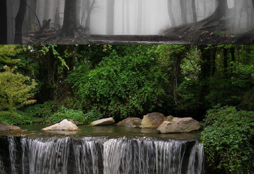 Photoshop合成夢幻風(fēng)格的森林場景【英】