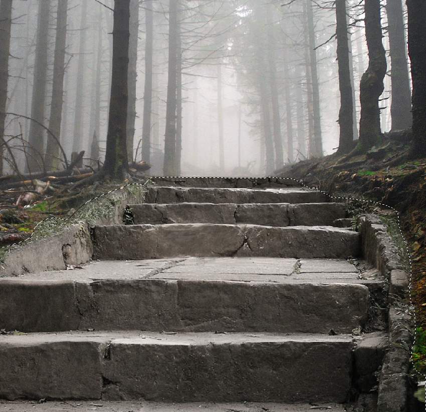 Photoshop合成夢幻風格的森林場景【英】