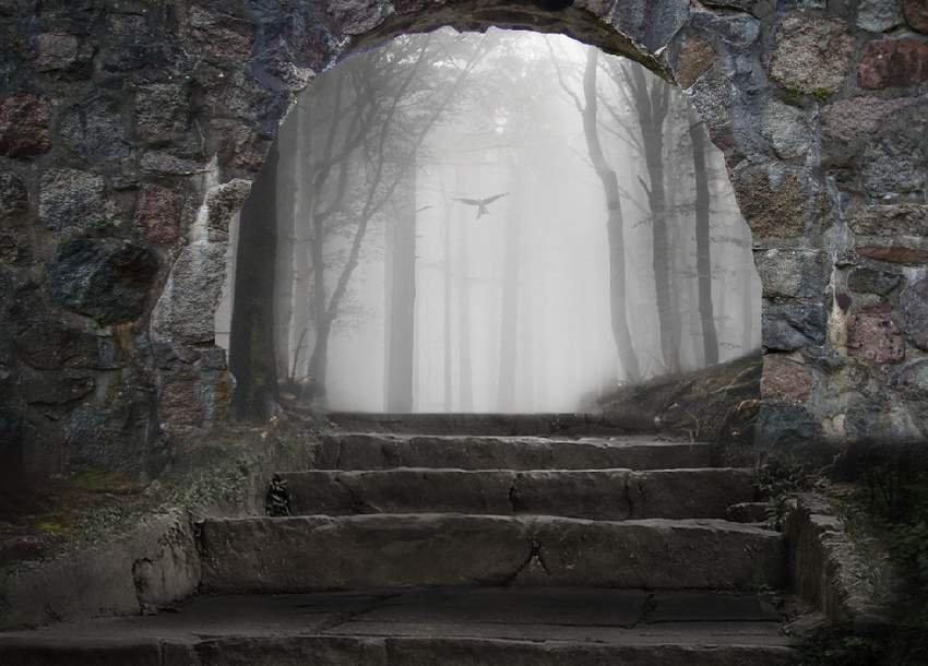 Photoshop合成夢幻風格的森林場景【英】