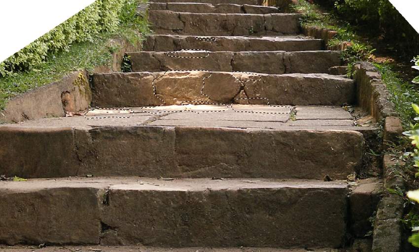 Photoshop合成夢幻風格的森林場景【英】