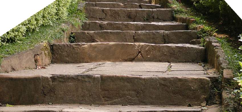 Photoshop合成夢幻風格的森林場景【英】