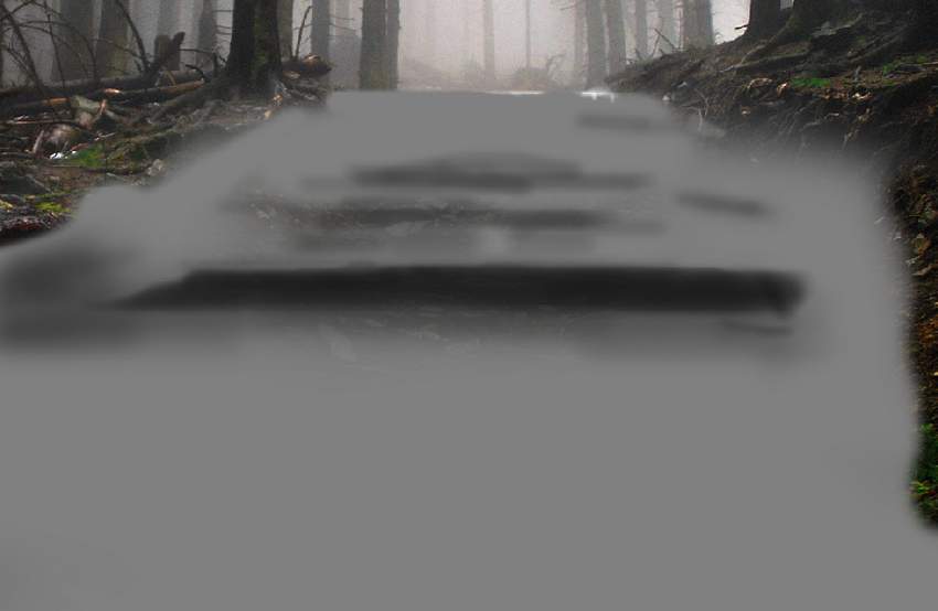 Photoshop合成夢幻風格的森林場景【英】