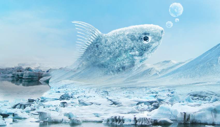 Photoshop合成冰凍特效的金魚場景【英】
