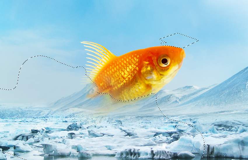 Photoshop合成冰凍特效的金魚(yú)場(chǎng)景【英】