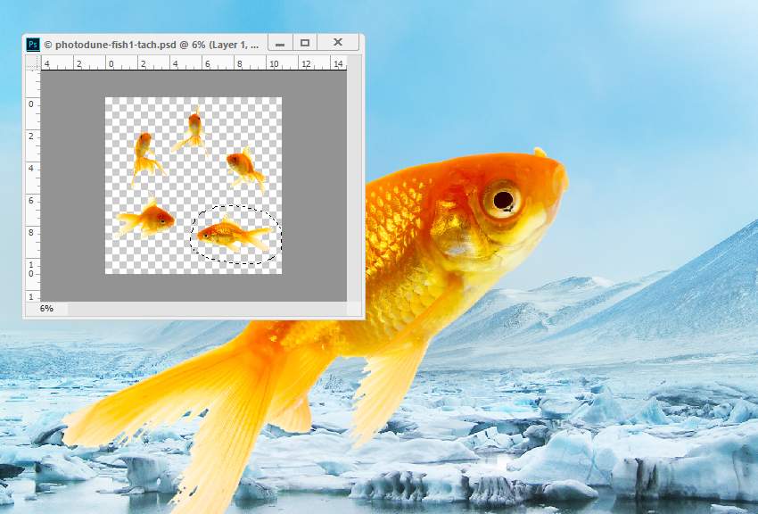 Photoshop合成冰凍特效的金魚(yú)場(chǎng)景【英】