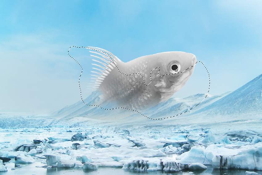 Photoshop合成冰凍特效的金魚(yú)場(chǎng)景【英】
