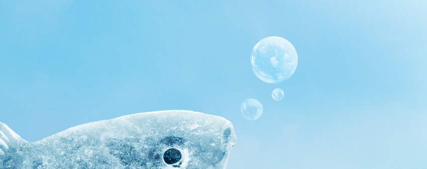 Photoshop合成冰凍特效的金魚場景【英】