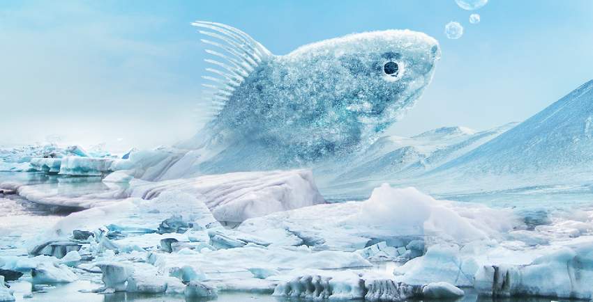 Photoshop合成冰凍特效的金魚(yú)場(chǎng)景【英】