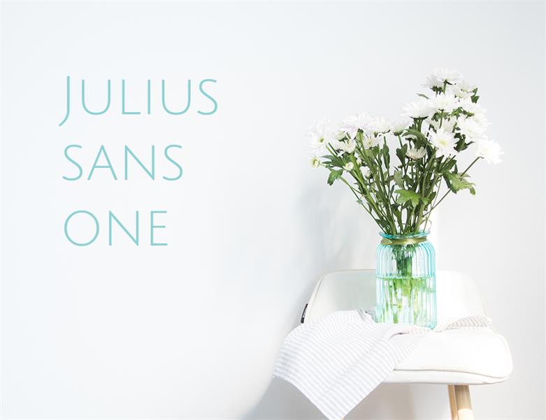 23款WEB設(shè)計(jì)師必備的英文字體下載