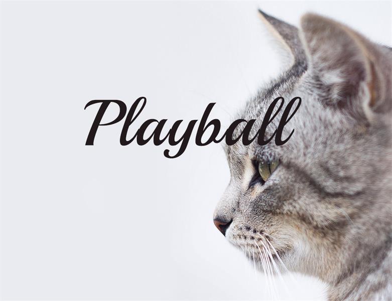 23款WEB設計師必備的英文字體下載