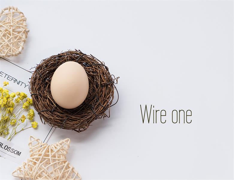 23款WEB設(shè)計(jì)師必備的英文字體下載