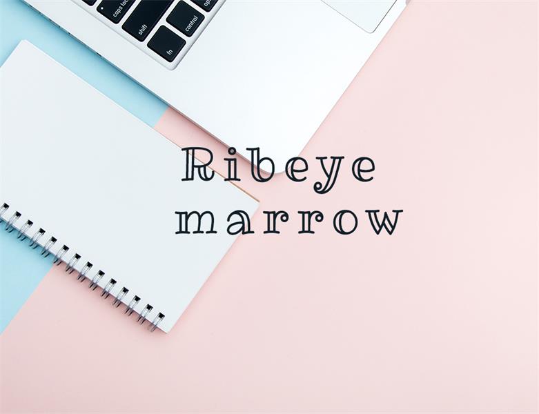 23款WEB設計師必備的英文字體下載