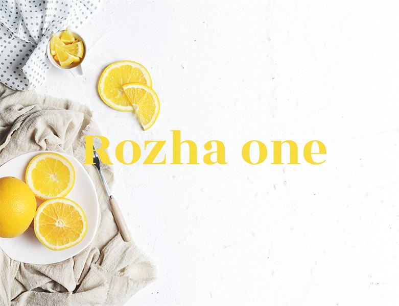 23款WEB設(shè)計(jì)師必備的英文字體下載