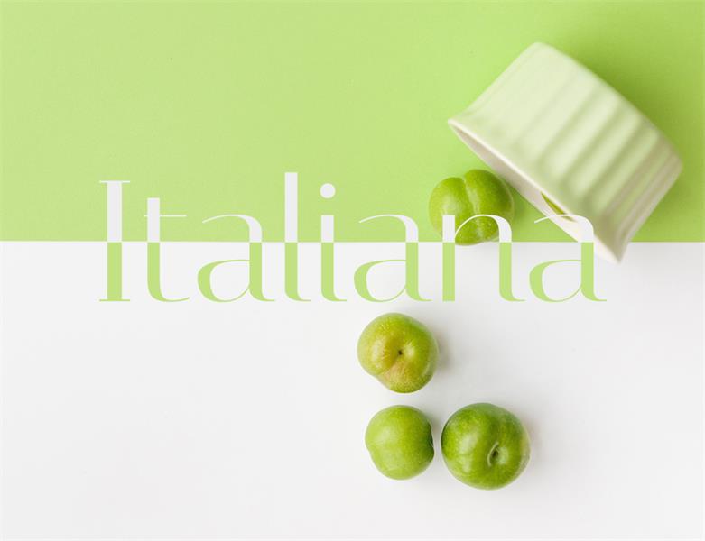 23款WEB設(shè)計(jì)師必備的英文字體下載